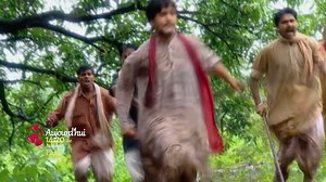 💃🏻LAALI EP 103 17H20 Sur 𝘗𝘢𝘴𝘴𝘪𝘰𝘯 𝘛𝘝(𝘋𝘛𝘏𝟲𝟭𝟵/𝘋𝘛𝘛𝟰𝟬)😍 votre nouvelle #série nostalgie "LAALI" Shekhar est innocenté après l'intervention de Laali. Ranvijay défie Shekhar de se battre pour sa terre. Ranvijay demande à Sideshwari de saboter le chariot de course de Shekhar. Gangi et Ranvijay poursuivent leurs plans de connivence pour détruire Shekhar. 📲➡Cliquez ICI bit.ly/3rtnwak pour suivre tous les contenus merveilleux! #StarTimes #PassionTV #Laali | StarTimes