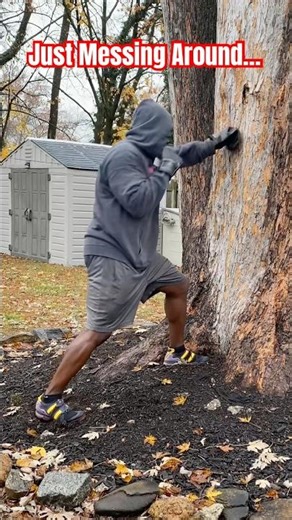 Punching Tree 😱 #boxing #heavybag #training #gym #shadowboxing #motivation #viral #trending #shorts