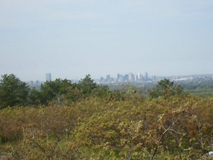 Adult Walking Club at the Blue Hills Reservation