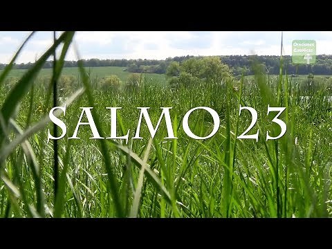 The Lord is my Pastor in SPANISH | Psalm 23 | CATHOLIC PRAYERS