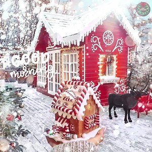 Good morning! ❤️🎅🏻🎄🎁✨☕️🌨❄️☃️🦌 | Magical Christmas