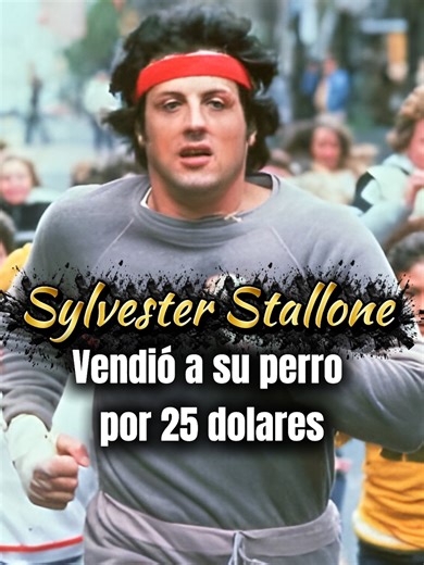 Sylvester Stallone's Heartwarming Dog Reunion