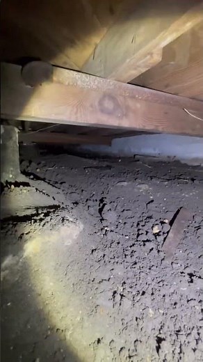 Pier and Beam Foundation Repair | Crawl Space Excavation in DFW