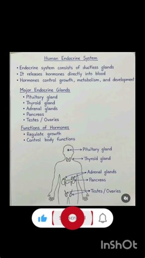 Endocrine system| chemical coordination| glands| hormones#biology #biologynotes