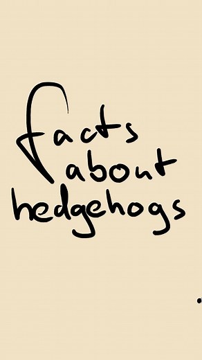 Fun Facts About Hedgehogs You Probably Didn't Know