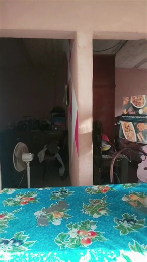 la freidora es muy fácil y cómoda de usar la verdad me ha facilitado mucho las recetas, incluso ayer pude hacer papas estilo al horno 😭 ¡Usa mi código knb3596 en Temu para obtener un 90 % de descuento y conseguir la misma! Solo nuevos usuarios en la aplicación. #temu #temumexico #freidoradeaire #fyp