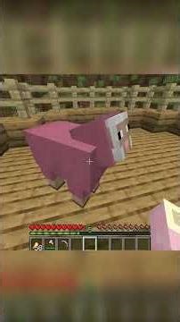 MINECRAFT PINK SHEEP LEARNS TO FIGHT!!!