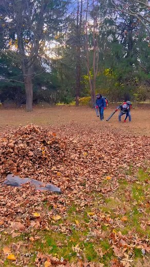Fall Clean Up like a PRO 💪🍁 Ready for winter, ready for anything. FallCleanup #LeafCleanup #LandscapingServices #SantiagoLandscaping #YardCleanUp | Santiago Landscaping & Hardscape