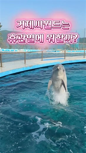 What to do on Geoje Sea World's closed days? #geojeseaworld