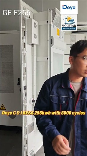 Power Your Business with Deye 256kWh C&I Battery Energy Storage System (BESS)