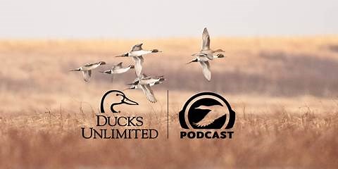 Ducks Unlimited Podcast | Ducks Unlimited