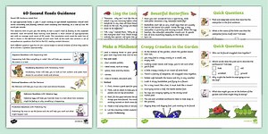 KS1 60-Second Reads: Minibeasts Activity Pack