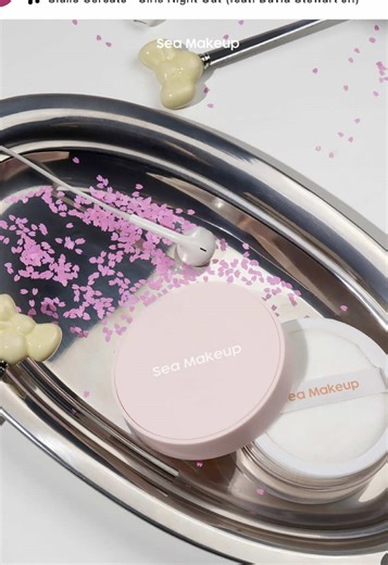 Long-lasting Makeup Setting Powder Recommendations