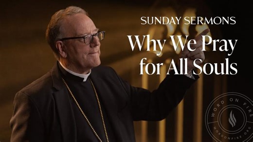 Why We Pray for All Souls - Bishop Barron’s Sunday Sermon | Patrick BM Zwane("MZI") What Thinketh Thou Comrade Human