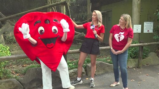 How to do hands-only CPR in 90 seconds