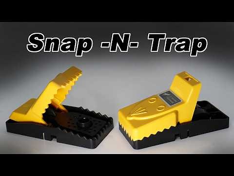 Snap-N-Trap - A Great New Mouse Trap That Works! Highly Recommended.