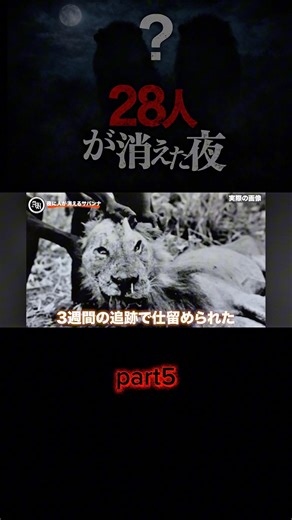 ツァボの人喰いライオン #animal #恐怖 #動物 #生き物 #ライオン #ガサガサ #特有種 #捕食シーン #爬虫類 #怖い話