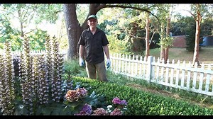 Have you seen this video about a cool Aussie Invention for the garden? Ive been testing them out at our place and am happy to say they work great and will never get pinched because they are totally hidden... got you intrigued? Watch and see. We've got them now in stock at this link. https://www.powerplanter.com.au/products/little-aussie-composter | Aussie Gardener Store