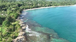 Lush tropical Caribbean Coast of Limon in Costa Rica -aerial views of Cocles, Punta Uva, Playa Chiquita and Manzanillo