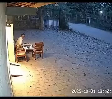 Tiger attack CCTV recording #viral #shorts #tiger #viralvideos #viralstory
