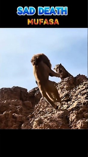 Sad Death Of Mufasa | Mufasa the lion King death 😭