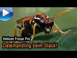 Stacking mit Helicon Focus Pro - Dateihandling optimieren
