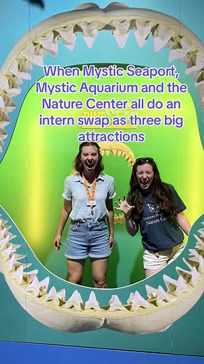 We loved being a part of an intern swap to see a behind the scenes of Mystic Aquarium with Mystic Seaport and show them how we work too #naturecenter #mysticct #mysticaquarium #mysticseaport #environmetaleducation #outdooradventures #interns #animals #owls #beluga #makingnatureaccessible