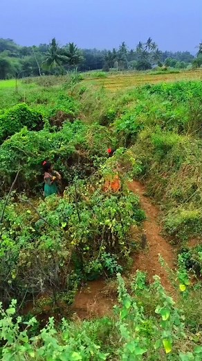 Chinnapoovan Chinnapoovan ChinnaPoovan | 😁😁😁😁😁 | Instagram