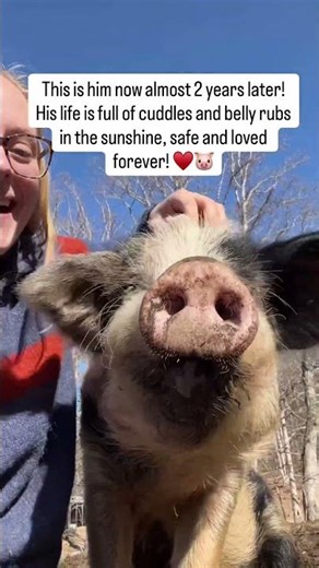 His transformation is amazing ♥️