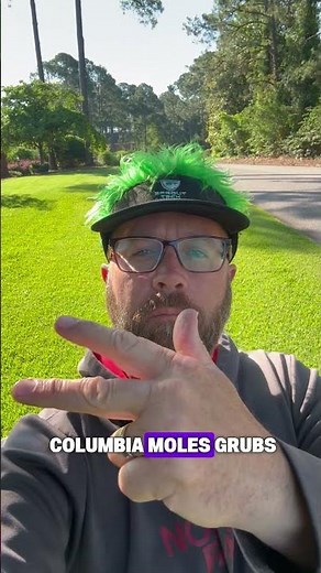 Protect Your St. Augustine Grass From Chinch Bugs! | Sprout Tech Turf Solutions