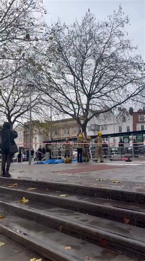 🔥🚒 ￼￼ it’s too big to be a pigeon! ￼🦅 fire brigade were called out to the middle of city Centre to attend emergency of a bird that was stuck in between the tree - possibility it was a Herring Gull ￼￼ | Jubed Alam Khan