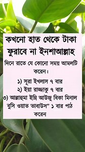 5.7M views · 36K reactions | The history of #photography began with...