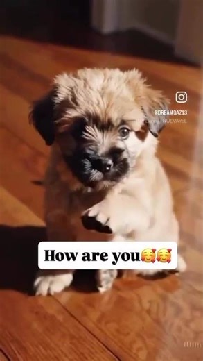 Cute puppy says hello