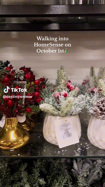 Im so happy🎄 #christmas #homesense #winners #fall #autumn #cozy #christmasdecor