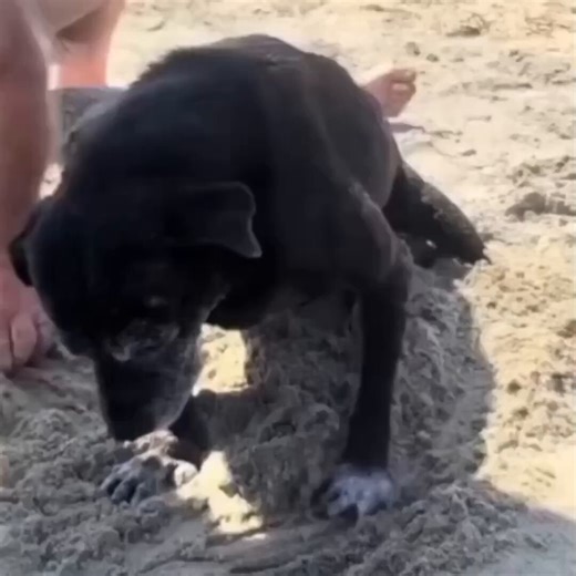 Mike Evans in a WR1 role in San Francisco