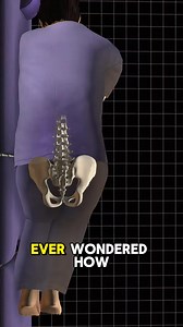 43K views · 768 reactions | How Bone Marrow Is Donated? (3D Animation) #How #bonemarrowtransplant #bonemarrowtransplantsurvivor #bonemarrowdonation #bonemarrowdonor #BoneMarrow #BoneMarrowBiopsy #marrow #marrowbone #surgery #surgical #doctor #surgeon #Method #bloodstream #injections #medication #transplant #medical3danimation #3dmedicalanimation | Medcare777 | Facebook