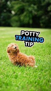 300K views · 6.8K reactions | Before you start trying to tell your...