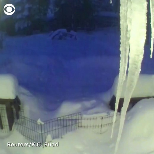 10K views · 155 reactions | HISTORIC SNOWFALL: Timelapse video showed snow piling up at a Lake Tahoe backyard throughout December, as the area set a new 50-year snowfall record. The total December snowfall was 202.1 inches, the University of California's Berkeley Central Sierra Snow Lab reported on Tuesday, breaking the previous record of 179 inches in 1970. | CBS News | Facebook