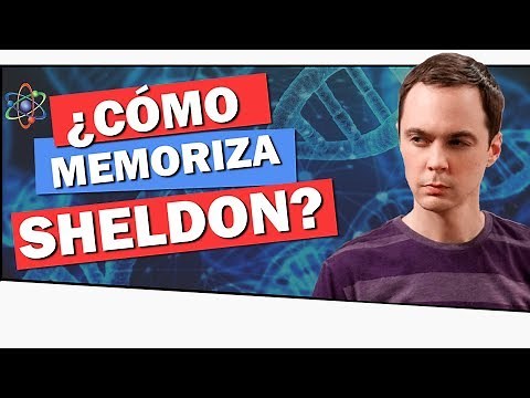 WHAT IS EIDETIC MEMORY? 🧠 Learn to Memorize Like SHELDON COOPER!
