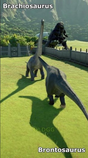Brontosaurus VS Brachiosaurus #dinobattle #dinosaur #jurassicworld #jurassicpark #gaming #godzilla
