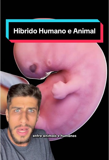 Híbridos: Humanos Misturados com Animais - Entenda!