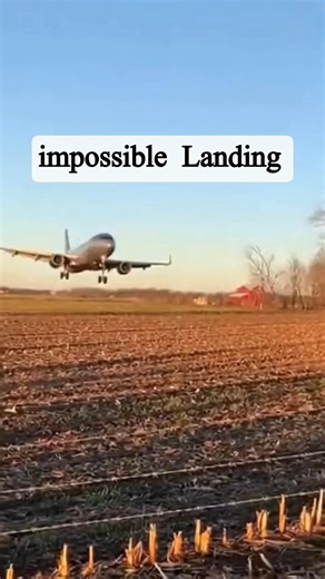 😨 Impossible Landing Where No Runway Existed ✈️ #impossible #emergencylanding #aviationdisaster #usa