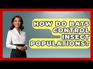 How Do Bats Control Insect Populations? - The Wild Life Explorer