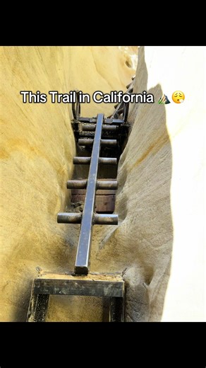 📍 Annie’s Canyon Trail, Cardiff CA #travel #california #trail #socal #adventure #tiktoktravel #traveltip #traveltiktok