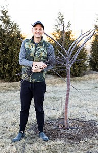 Last week gave me a few beautiful days that were perfect for trimming the apple trees. These apple trees were planted as whips four years ago, and each one is being pruned and shaped into an open vase style. Open vase literally means opening up the center of the tree with the branches growing more laterally. We trim fruit trees for multiple reasons: - Better air circulation - Help the sun reach all the fruit - Make it easier to pick fruit - Control and rid any diseased branches The two important