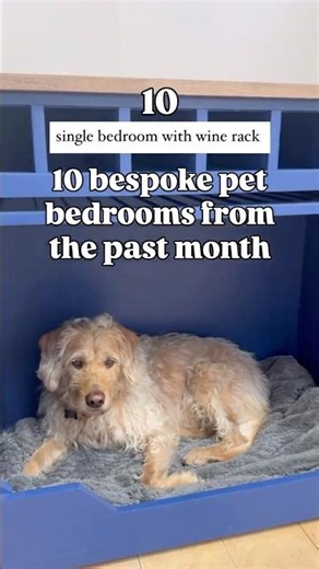 TOP 10 Bespoke Dog Beds from the past month