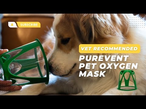 Why the Purevent Pet Oxygen Mask is the best choice for your Pet