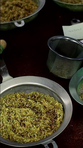 Inside Pennington's Grass Seed Testing | Behind the Seeds