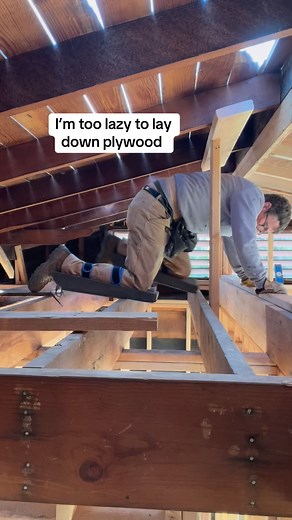 8.7K views · 408 reactions | #ever #feel #too #lazy to #lay #down #plywood #cat #walk #fir #working #in #attic #i #do #when #doing #electrical #plumbing #hvac #insulation #fire #sprinkler #system | Edward Schoen | Facebook