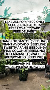 PA MINE NALANG PO! PAUNAHAN NALANG SA ATING LIMITED BUNDLE! Happy farming! 📦 ORDER PROCESSING & PAYMENT GUIDELINES To process your order smoothly and avoid delays, please provide the following: ✅ Name of Receiver: ✅ Complete Address: ✅ Nearest Landmark: ✅ Contact Number: ✅ Orders (item name & quantity): 💳 PAYMENT OPTIONS We are accepting: ✔ Full Payment via GCash or Remittance Center OR ✔ 80% Down Payment and 20% balance to be paid upon arrival of orders 📌 The 80/20 option is implemented to a